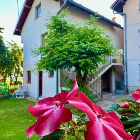 Apartman Amila SJJ Exteriér fotografie