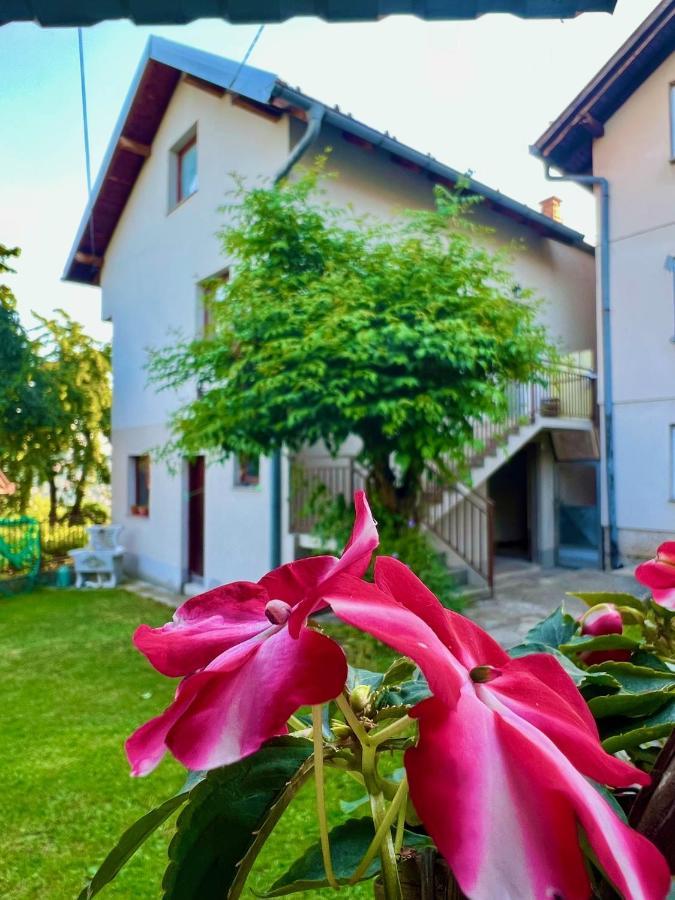 Apartman Amila SJJ Exteriér fotografie